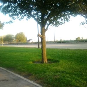 Meet your Posher, Daphney